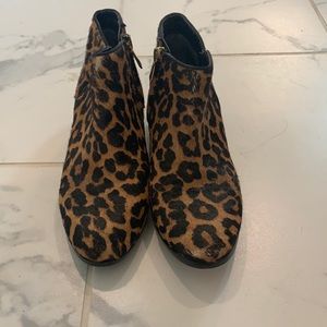 FINAL SALE - Leopard Sam Edelman Ankle Boots